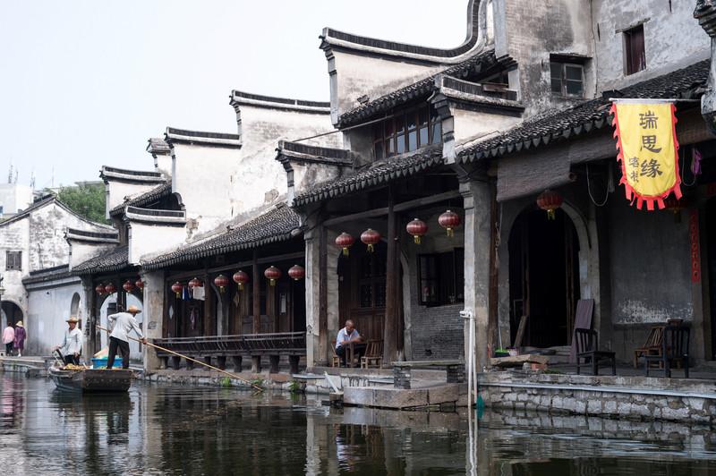 杭州一工地挖出“神秘物种”!一查身份,大有来头